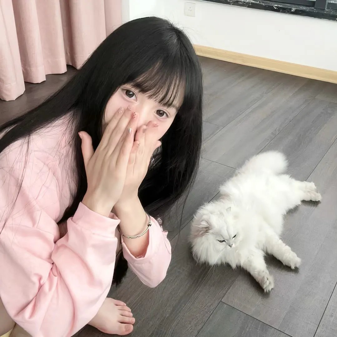 万紫千红花弄蝶
