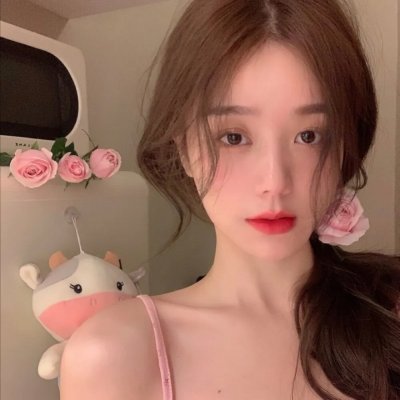 狮子军龙虎鬪